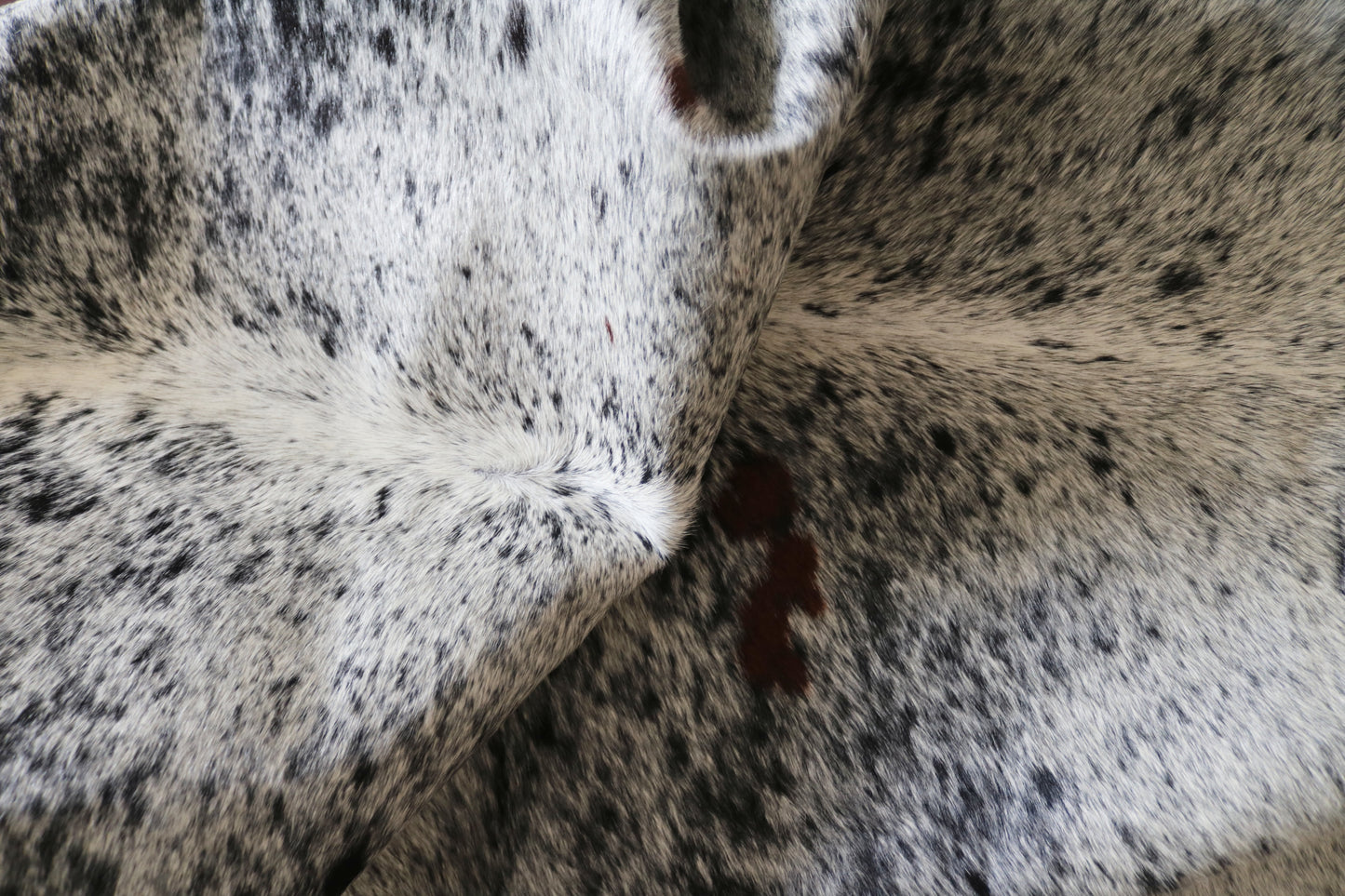 100031 Cowhide rug TRICOLOR   Collection Quebecuir Premium
