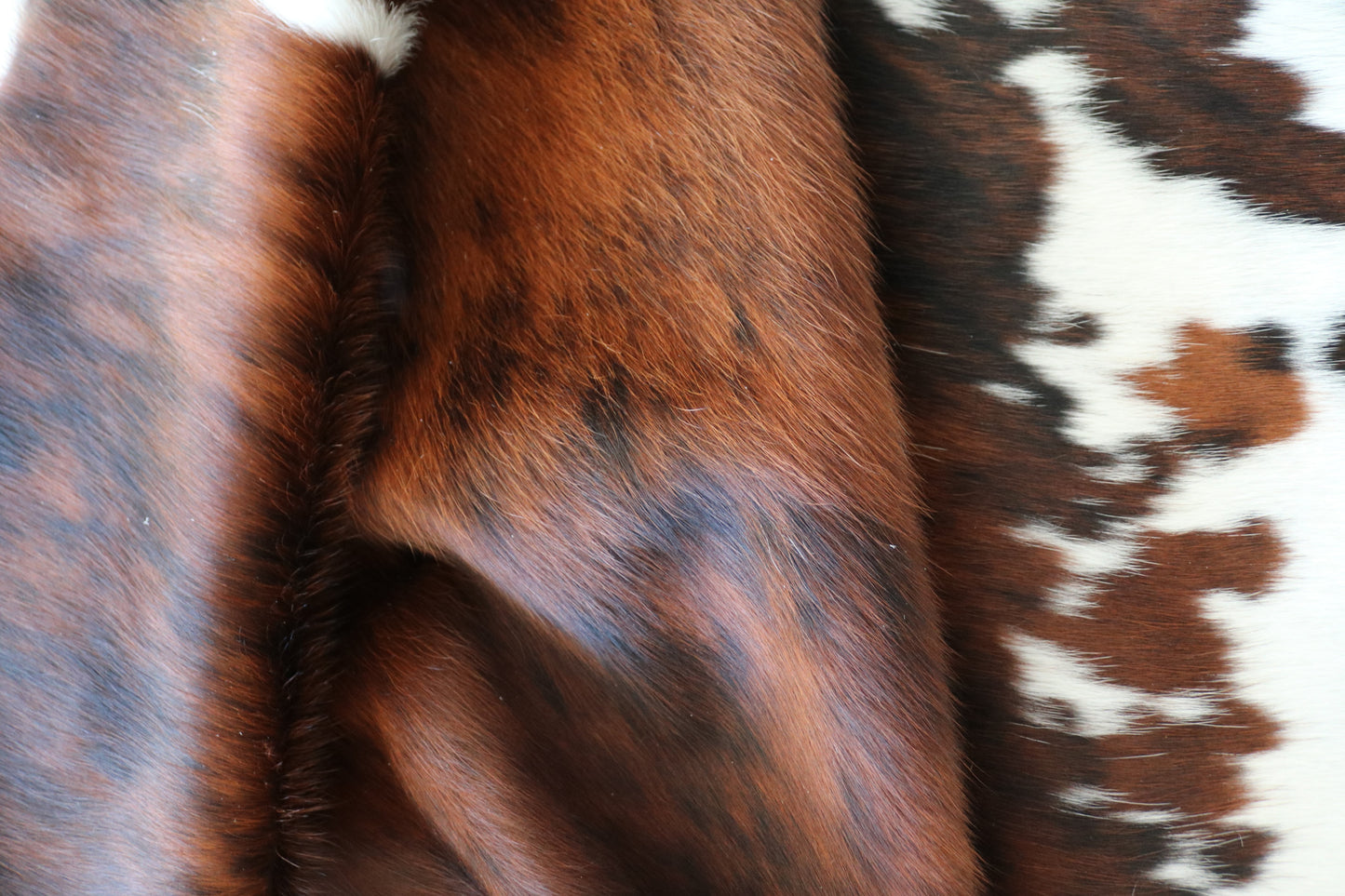 100050 Cowhide rug  Collection Quebecuir Premium