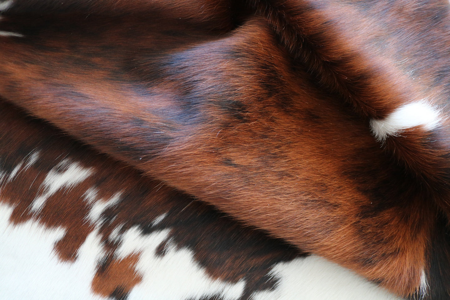 100050 Cowhide rug  Collection Quebecuir Premium
