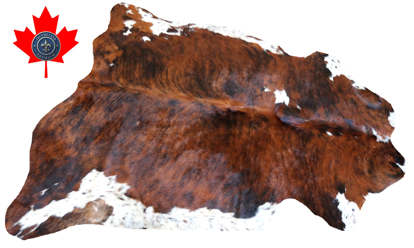 100051 Cowhide rug  Collection Quebecuir Premium