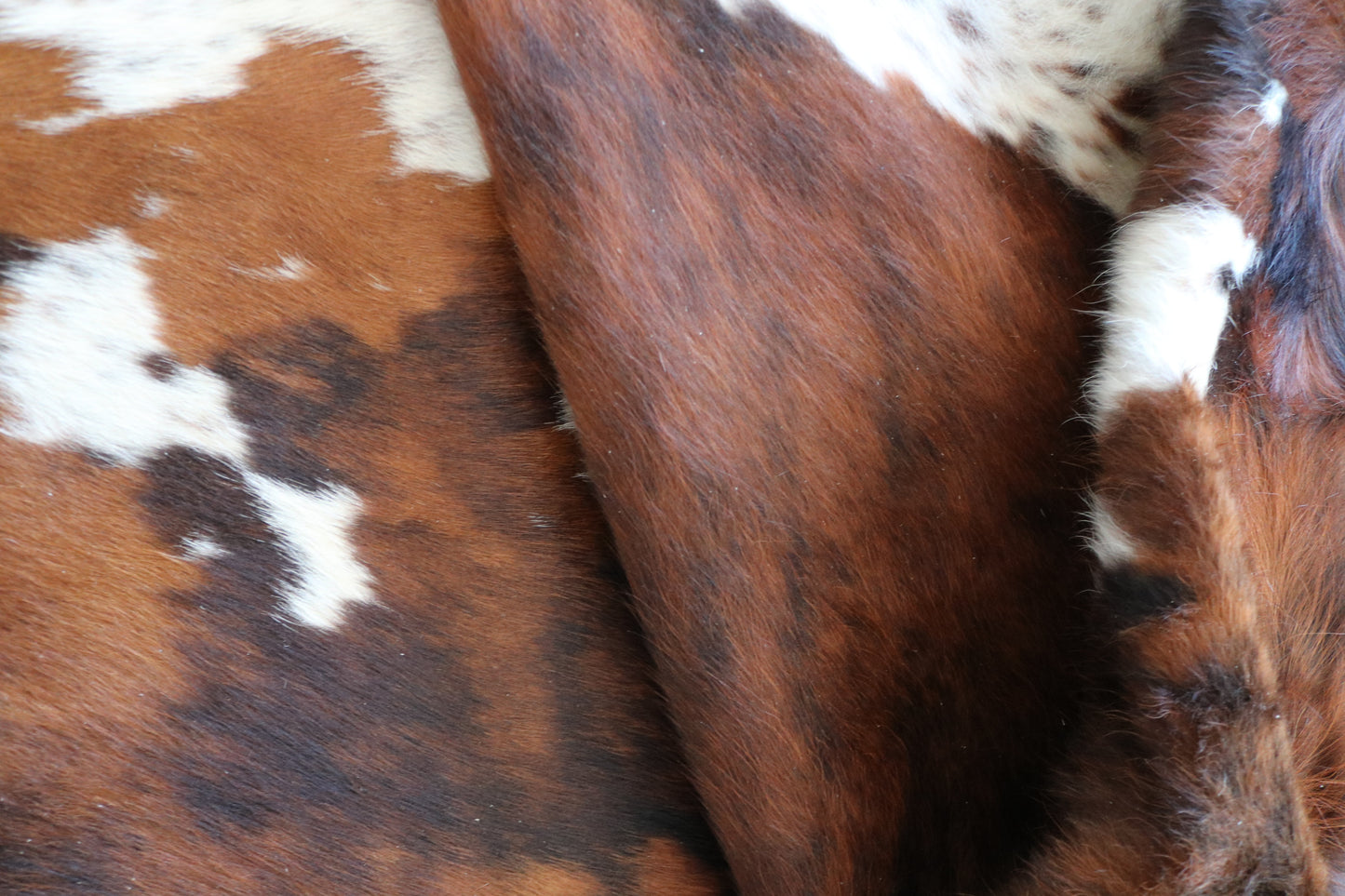 100051 Cowhide rug  Collection Quebecuir Premium