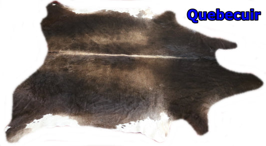 98463- Cowhide Rug Tapis Peau de Vache BIG SIZE  XXL - Collection Quebecuir Premium