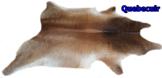 98485 - Cowhide Rug Tapis Peau de Vache  SUPER  BIG SIZE XXXL   - Collection Quebecuir Premium