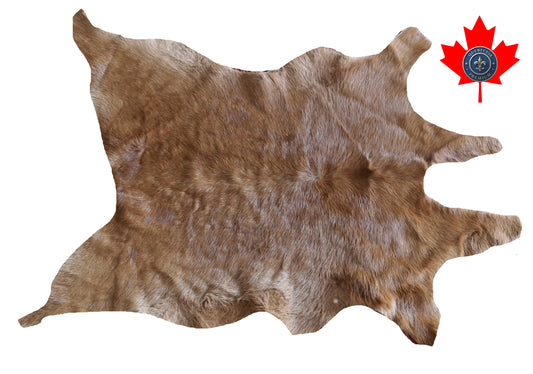 100101 Calfskin Tapis peau de veau   Collection Quebecuir Premium