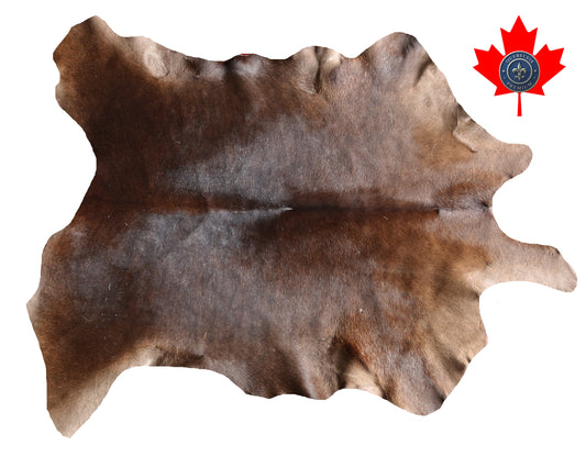 100104 Calfskin Tapis peau de veau   Collection Quebecuir Premium