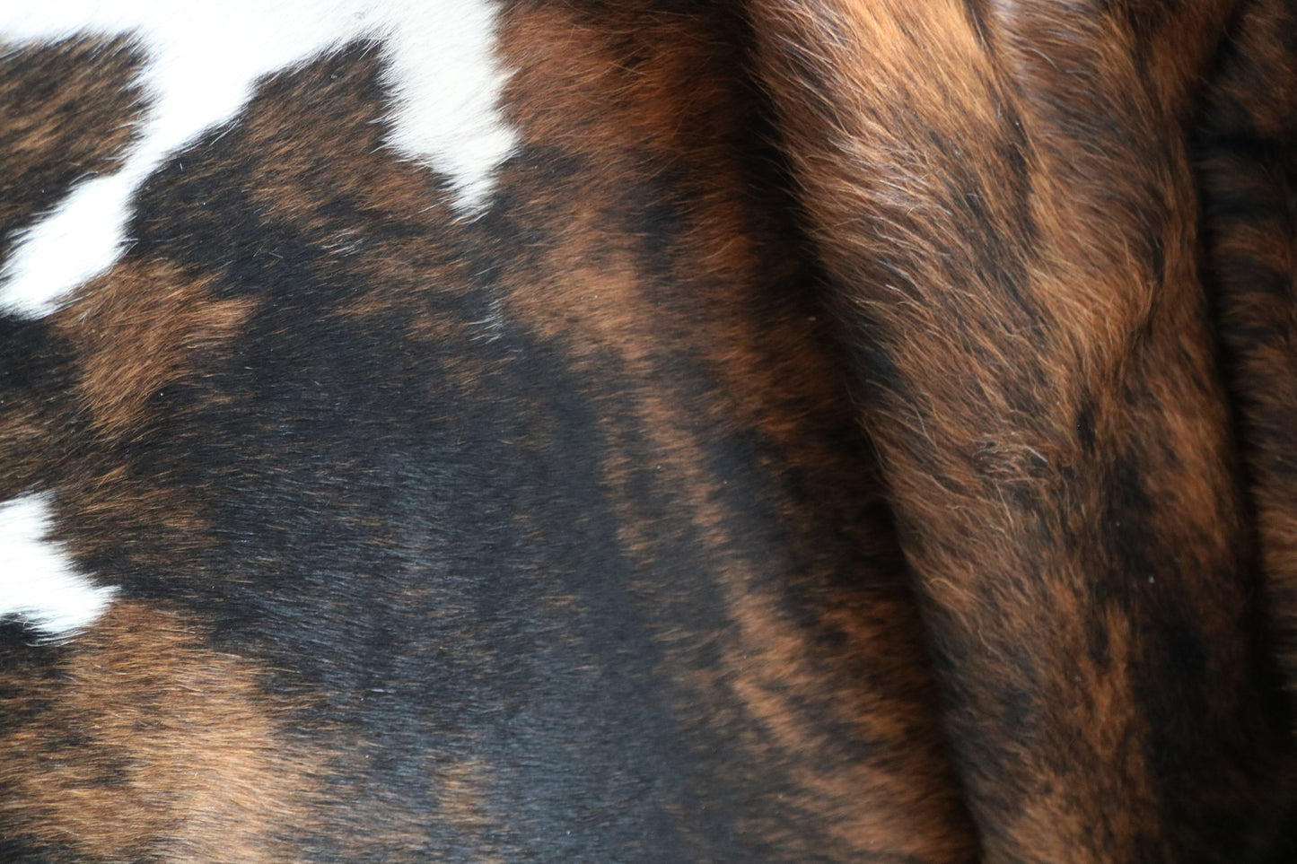 100107 A1  Cowhide Rug Tricolor Tapis peau de vache . Quebecuir Premium Collection.