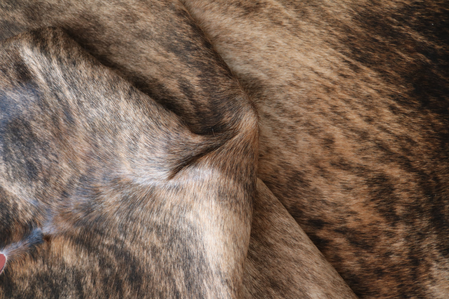 100108 Cowhide Rug  Quebecuir Premium Collection.