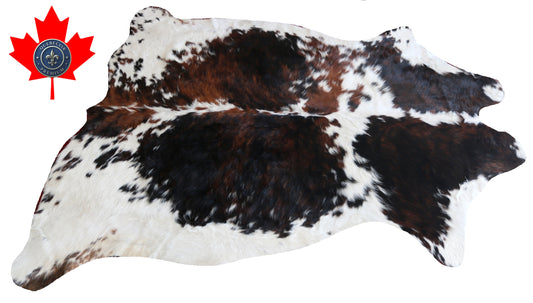 100109 Cowhide Rug TRICOLOR   Quebecuir Premium Collection.