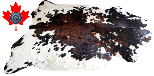 100111 Cowhide rug TRICOLOR   Collection Quebecuir Premium SUPER BIG SIZE XXXL