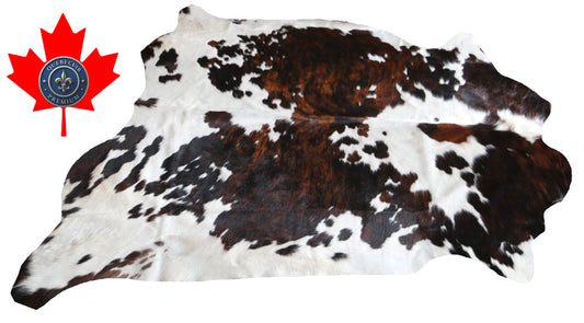 100112 Cowhide rug  TRICOLOR Collection Quebecuir Premium SUPER BIG SIZE XXXL