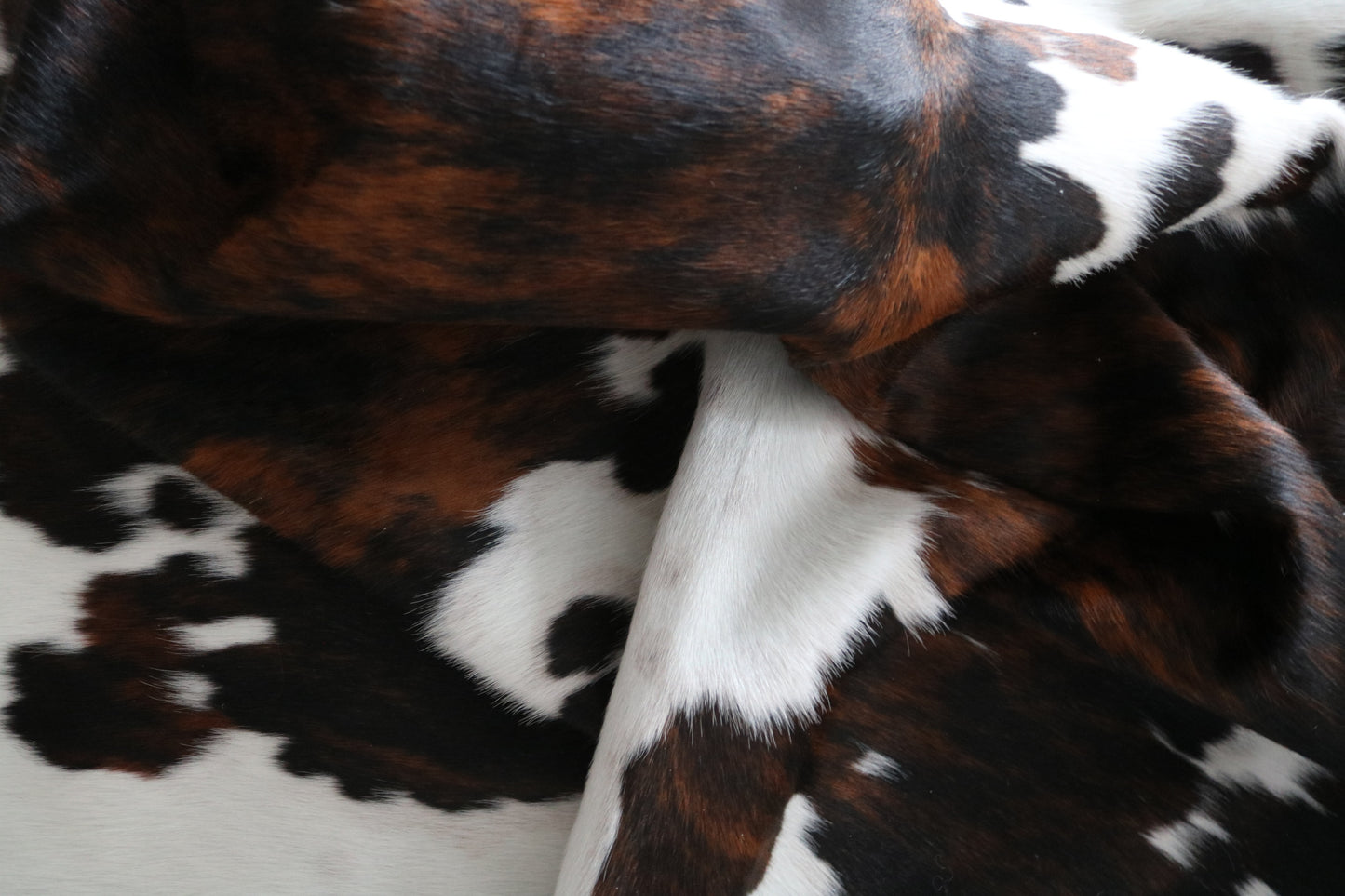 100112 Cowhide rug  TRICOLOR Collection Quebecuir Premium SUPER BIG SIZE XXXL