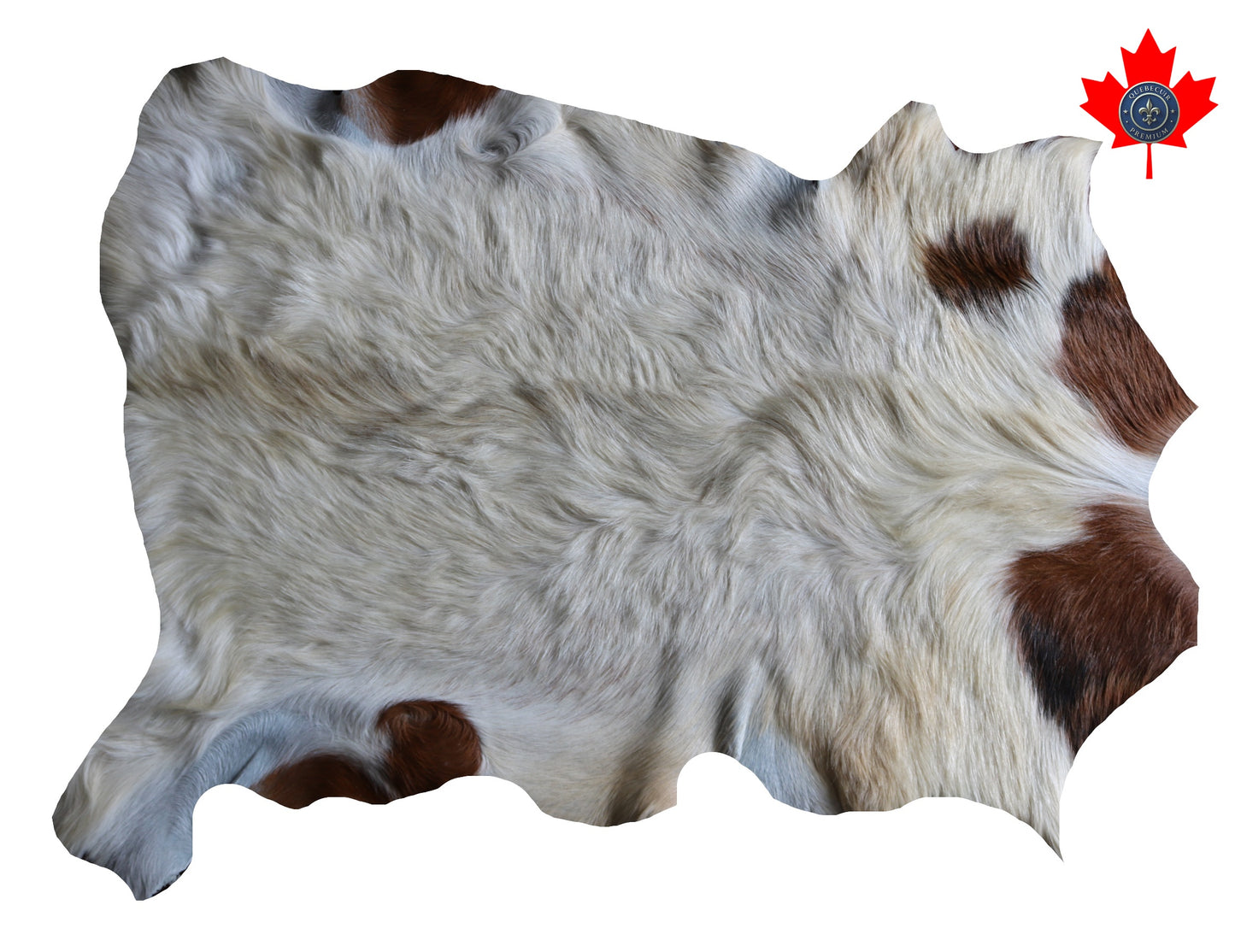 200586 GOAT CHEVRE   Collection Quebecuir Premium