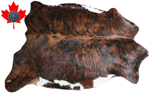 100116 Cowhide Rug  Quebecuir Premium Collection