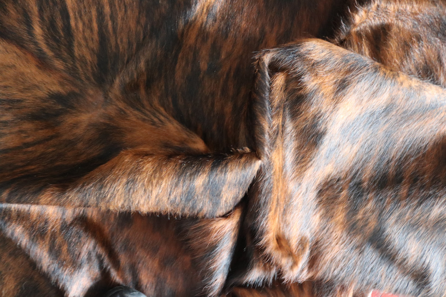 100116 Cowhide Rug  Quebecuir Premium Collection
