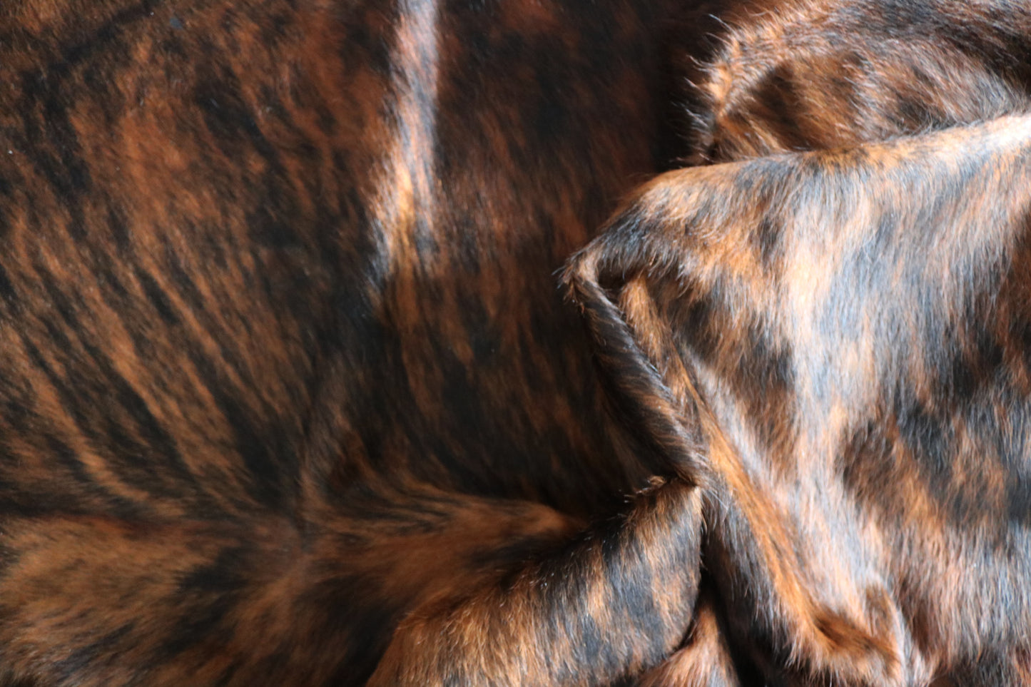 100116 Cowhide Rug  Quebecuir Premium Collection