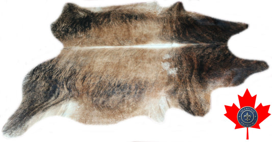 98570 - Cowhide Rug Tapis Peau de Vache   BIG SIZE XXL     - Collection Quebecuir Premium