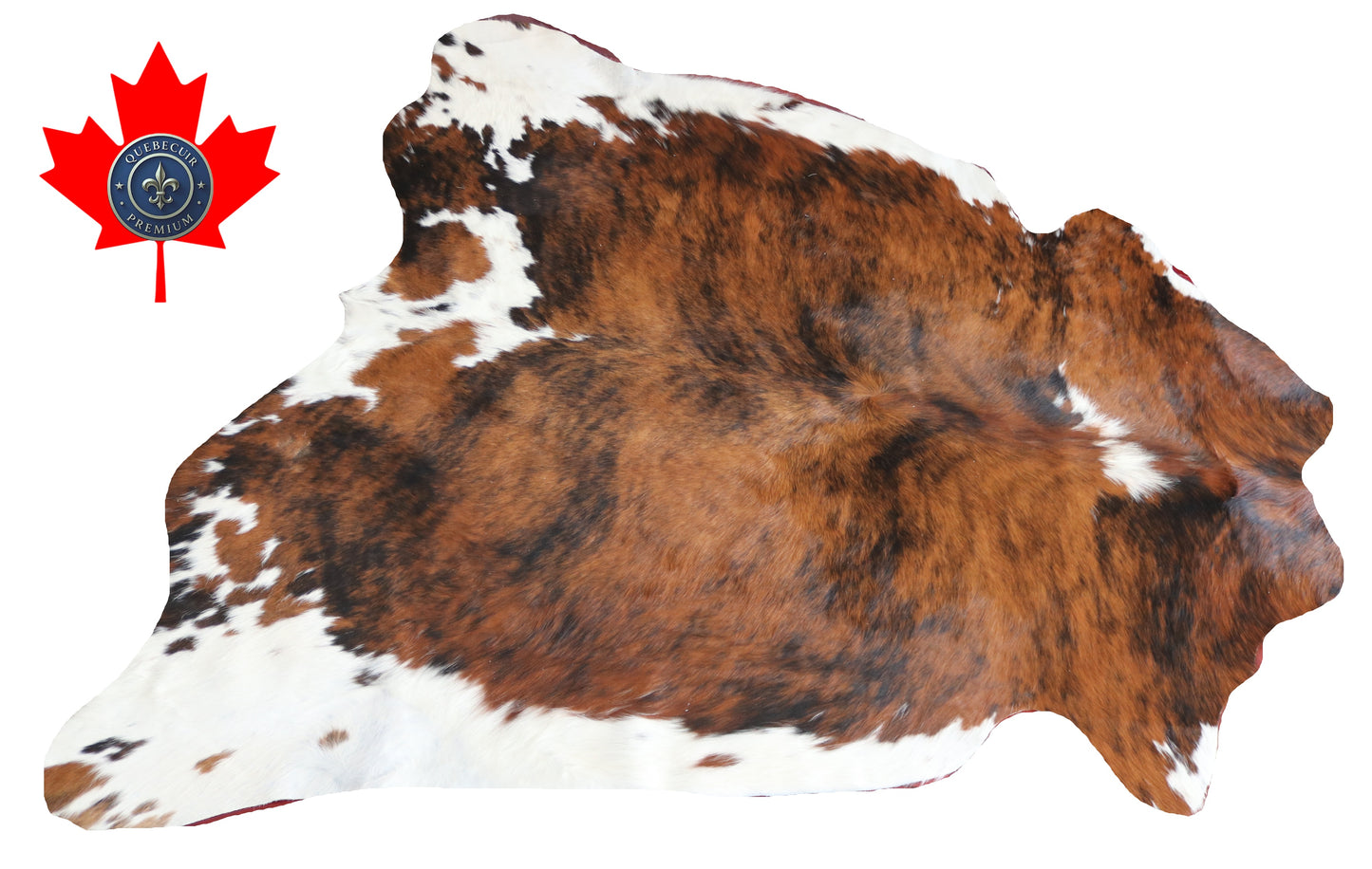 100118 Cowhide rug TRICOLOR   Collection Quebecuir Premium