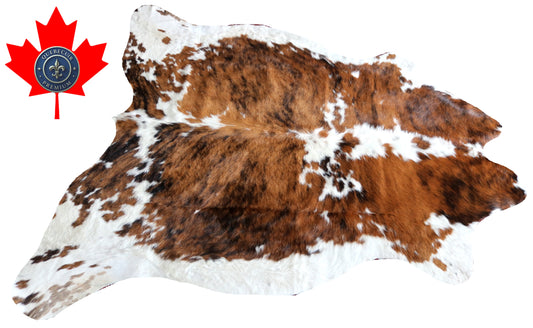 100119 Cowhide rug TRICOLOR   Collection Quebecuir Premium