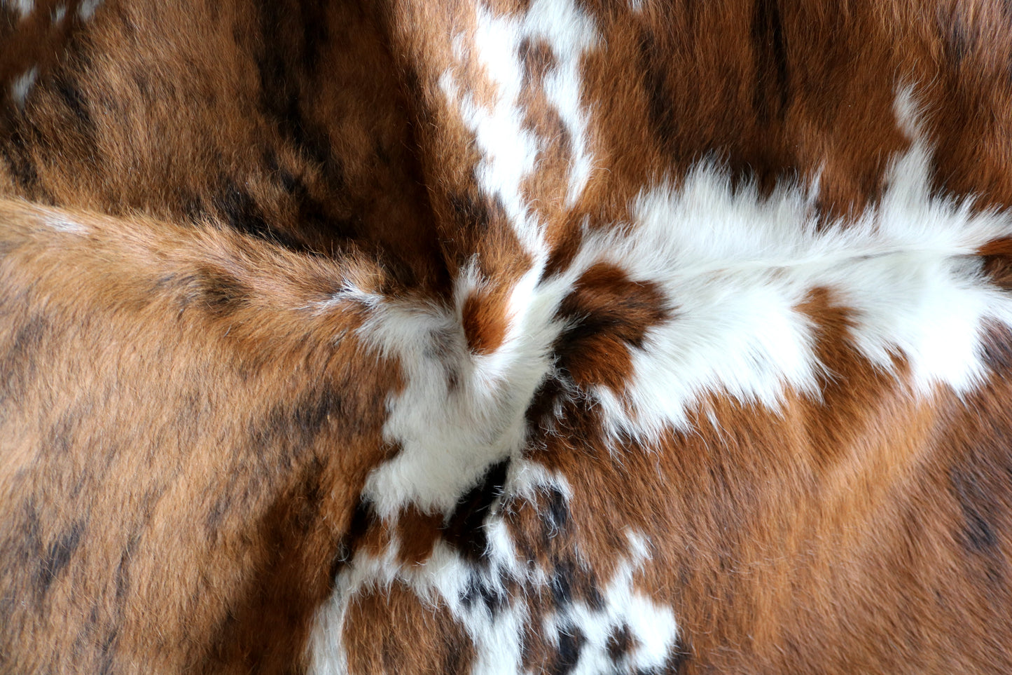 100119 Cowhide rug TRICOLOR   Collection Quebecuir Premium
