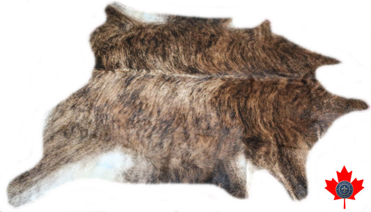 98594 - Cowhide Rug Tapis Peau de Vache    BIG SIZE XXL    - Collection Quebecuir Premium