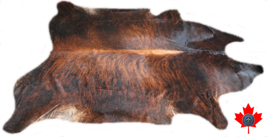 98600 - Cowhide Rug Tapis Peau de Vache  SUPER  BIG SIZE XXXL    - Collection Quebecuir Premium