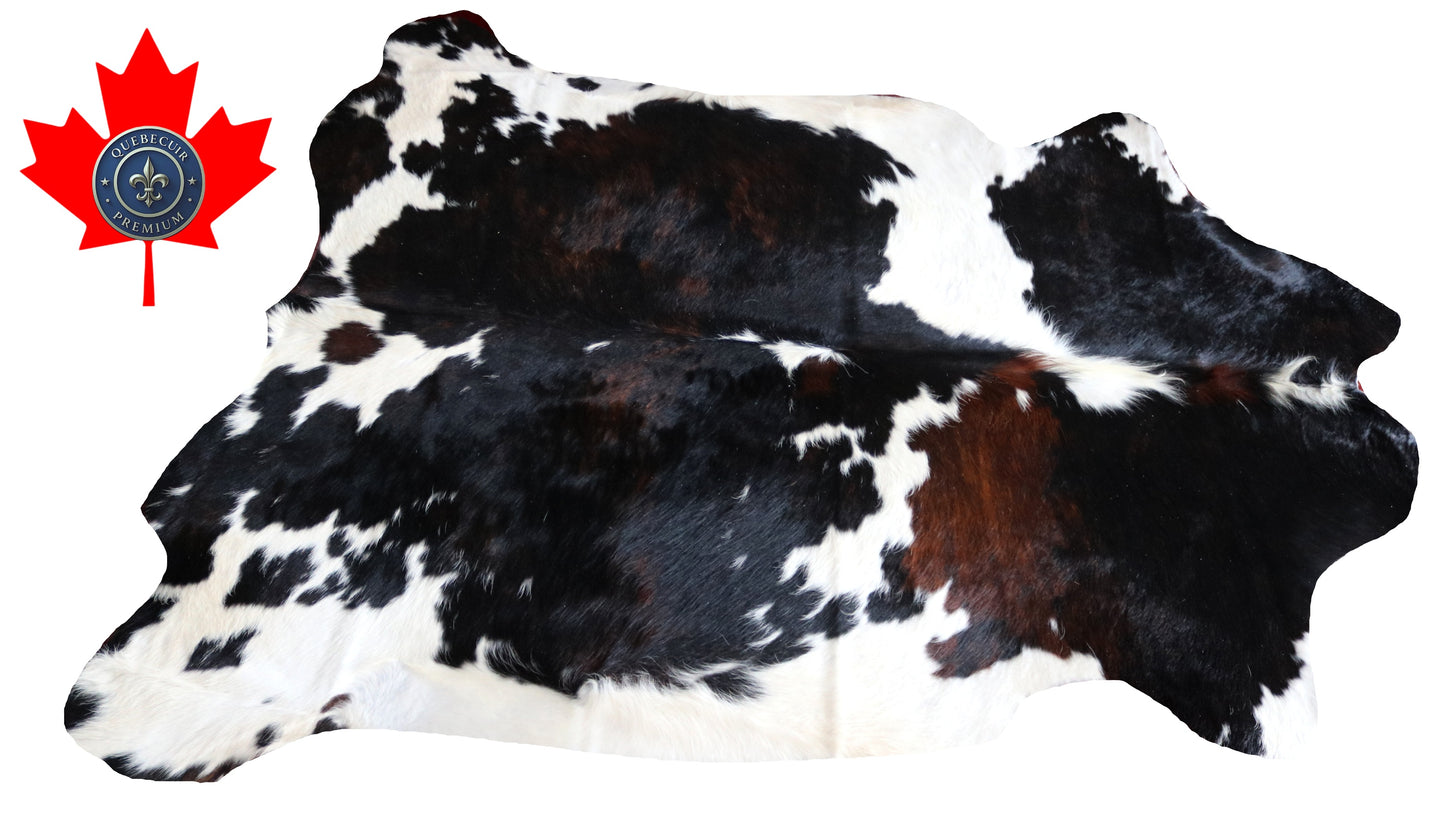 100124 Cowhide rug TRICOLOR   Collection Quebecuir Premium