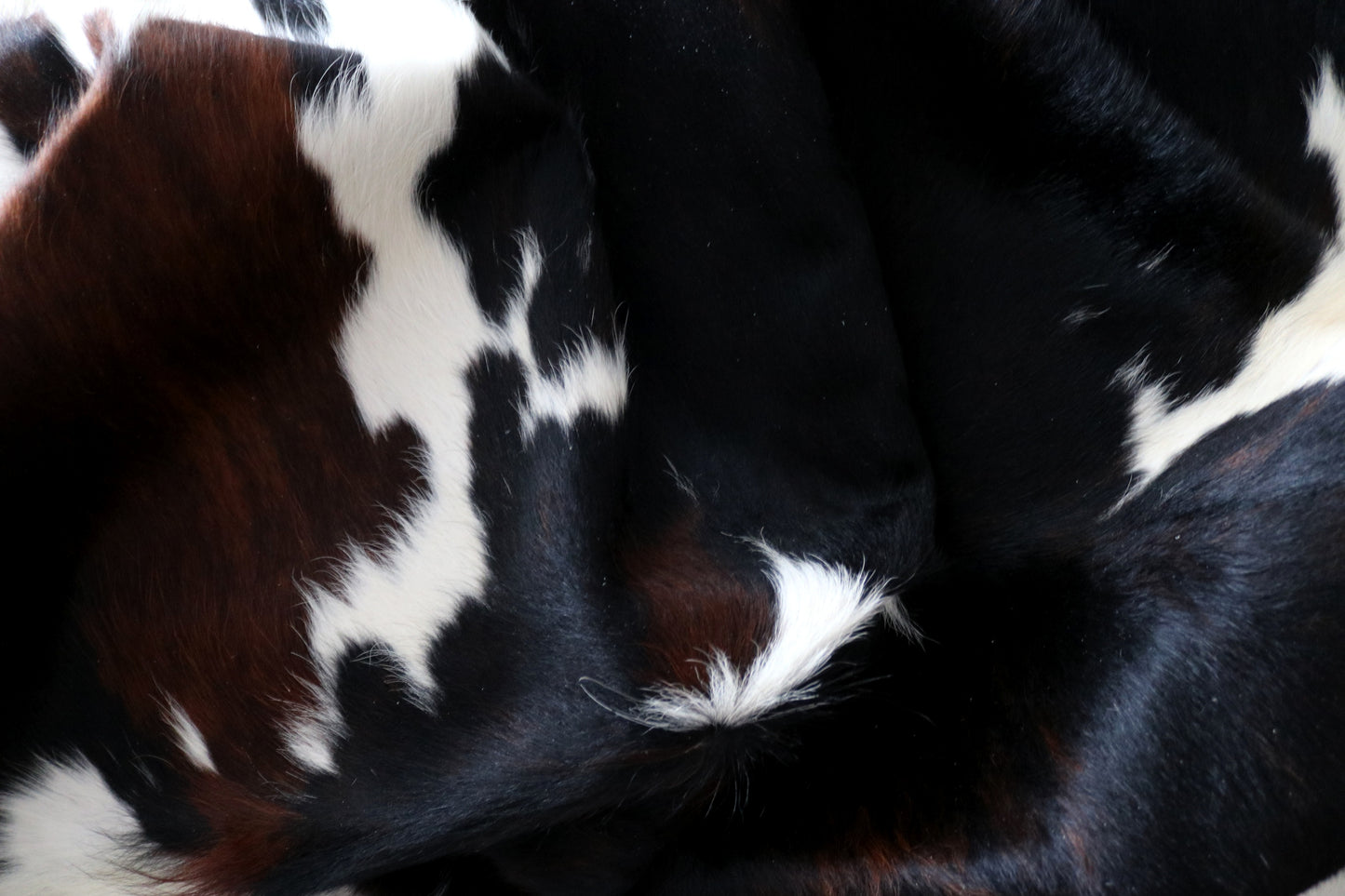 100124 Cowhide rug TRICOLOR   Collection Quebecuir Premium