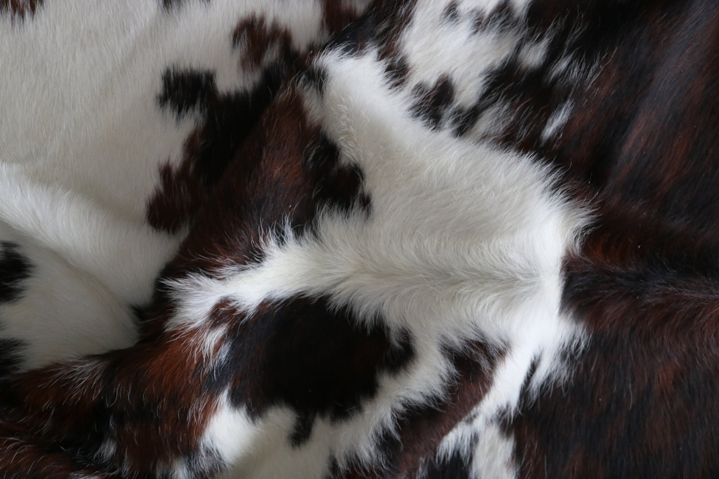 100125 Cowhide rug TRICOLOR   Collection Quebecuir Premium