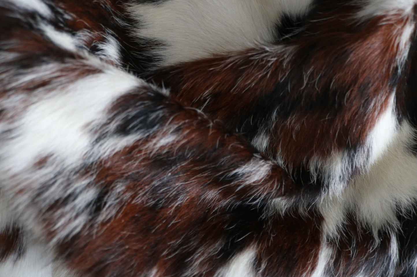 100125 Cowhide rug TRICOLOR   Collection Quebecuir Premium