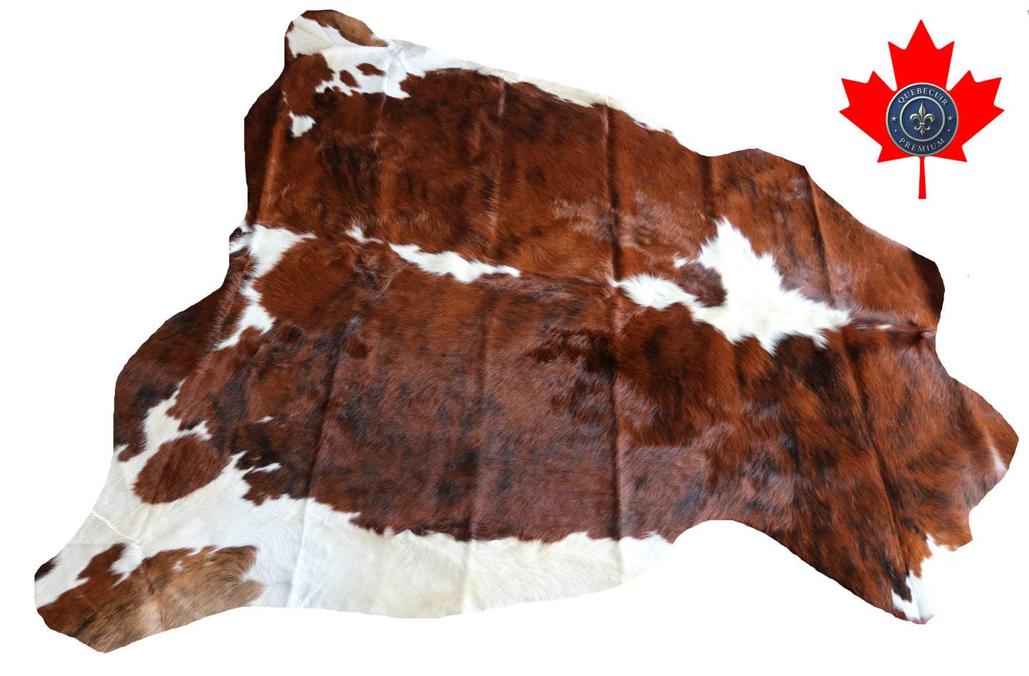 100126 Cowhide rug TRICOLOR   Collection Quebecuir Premium