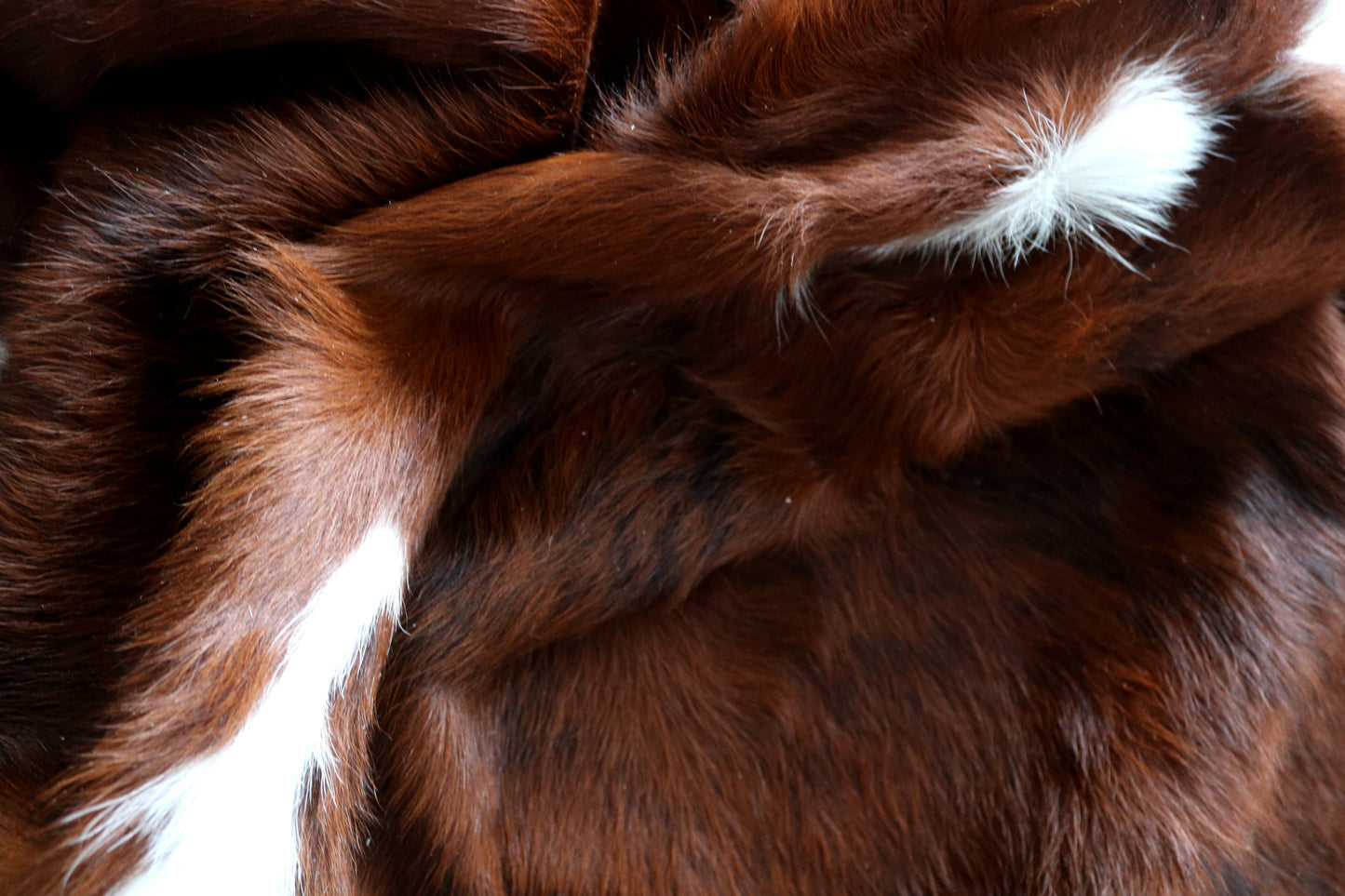 100126 Cowhide rug TRICOLOR   Collection Quebecuir Premium