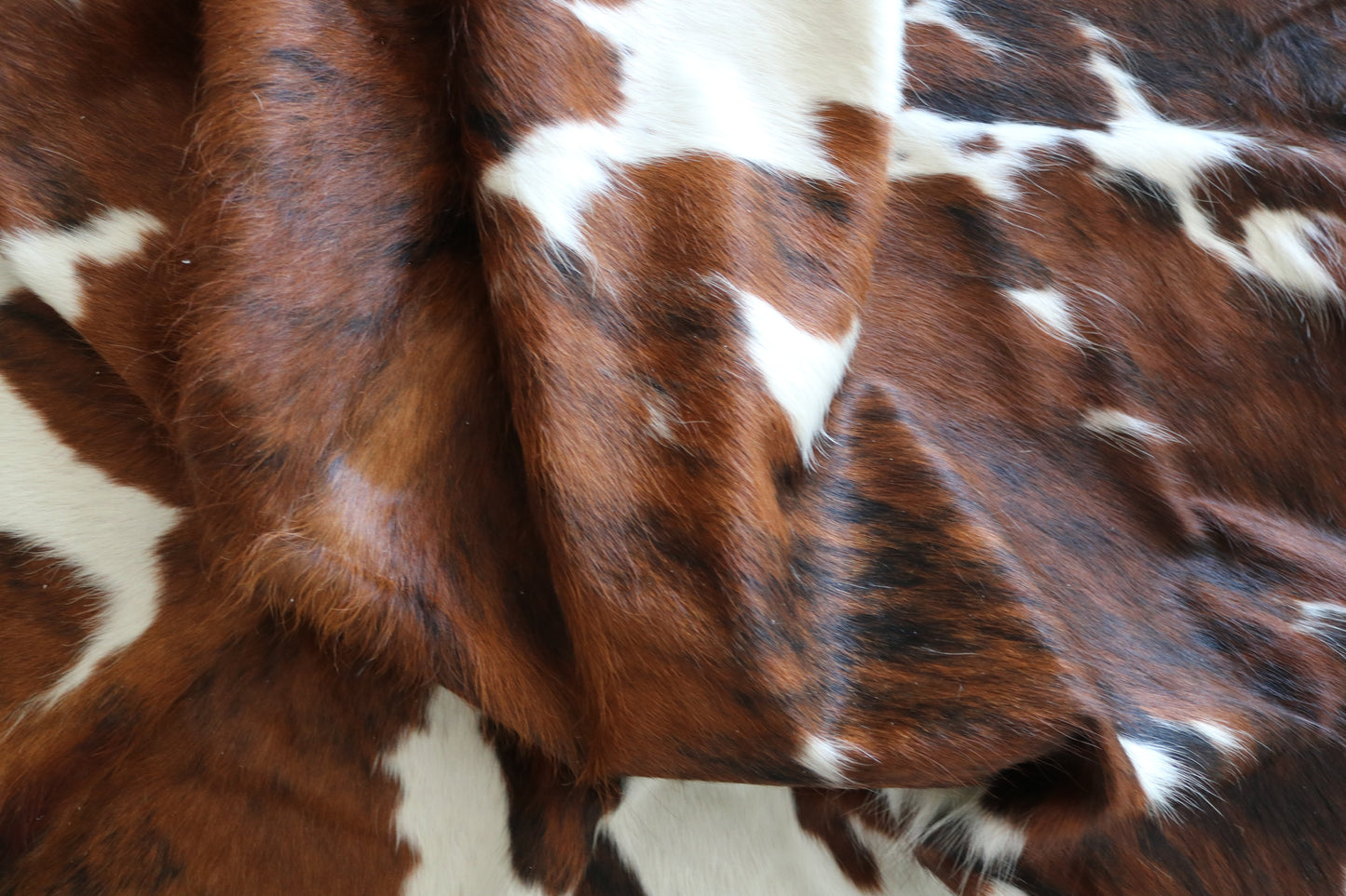 100127- SUPER BIG  SIZE XXXL Tricolor Cowhide Rug - Quebecuir Premium Collection