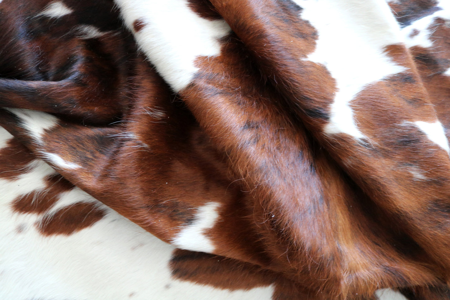 100127- SUPER BIG  SIZE XXXL Tricolor Cowhide Rug - Quebecuir Premium Collection