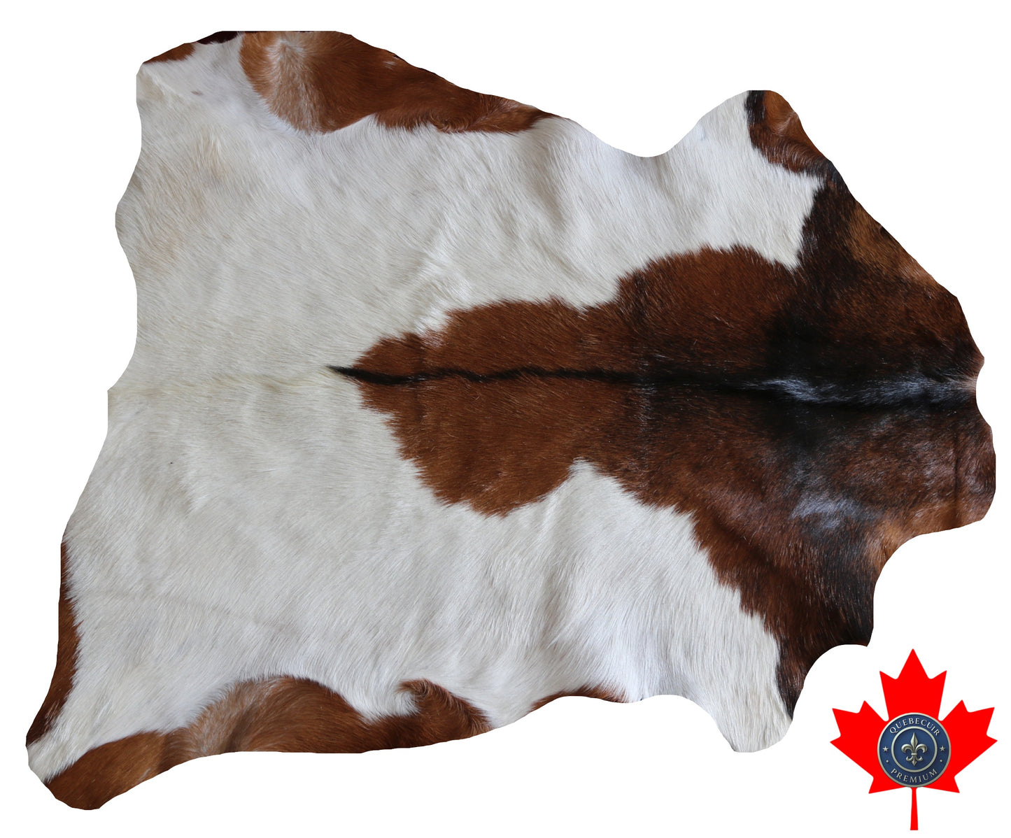 200594 GOAT CHEVRE   Collection Quebecuir Premium