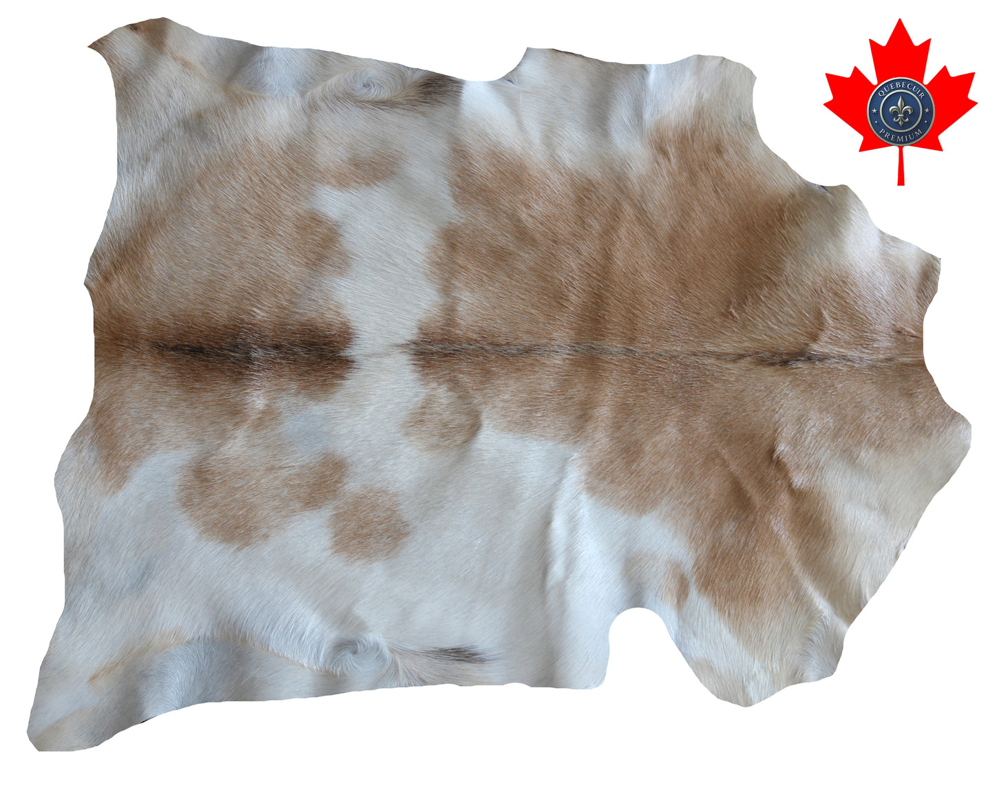 200595 GOAT CHEVRE   Collection Quebecuir Premium