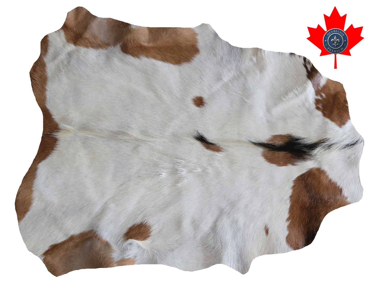 200596 GOAT CHEVRE   Collection Quebecuir Premium
