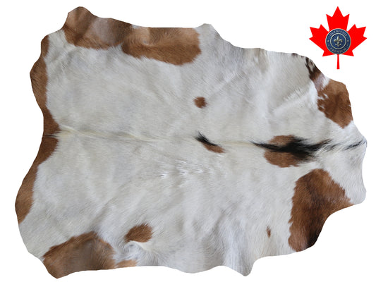 200596 GOAT CHEVRE   Collection Quebecuir Premium