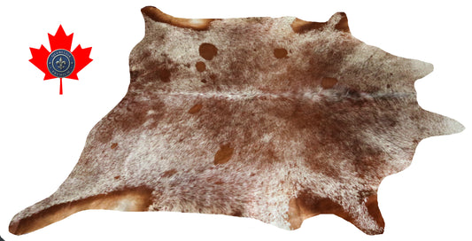 98645- Cowhide Rug Tapis Peau de Vache    BIG SIZE XXL     - Collection Quebecuir Premium