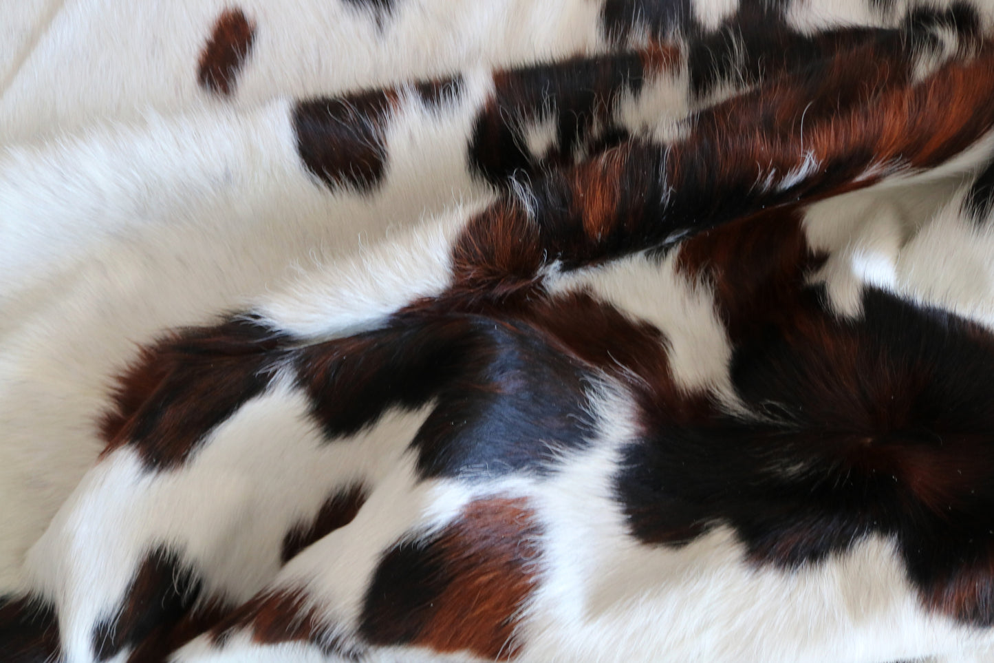 100131   Tricolor Cowhide Rug - Quebecuir Premium Collection