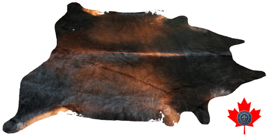 98654- Cowhide Rug Tapis Peau de Vache    BIG SIZE XXL     - Collection Quebecuir Premium