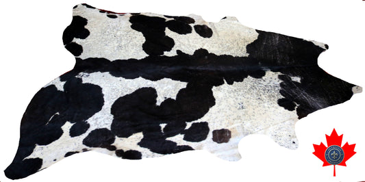 98655- Cowhide Rug Tapis Peau de Vache    BIG SIZE XXL     - Collection Quebecuir Premium