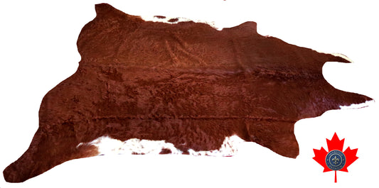 98667 - Cowhide Rug Tapis Peau de Vache    SUPER  BIG SIZE XXXL    - Collection Quebecuir Premium