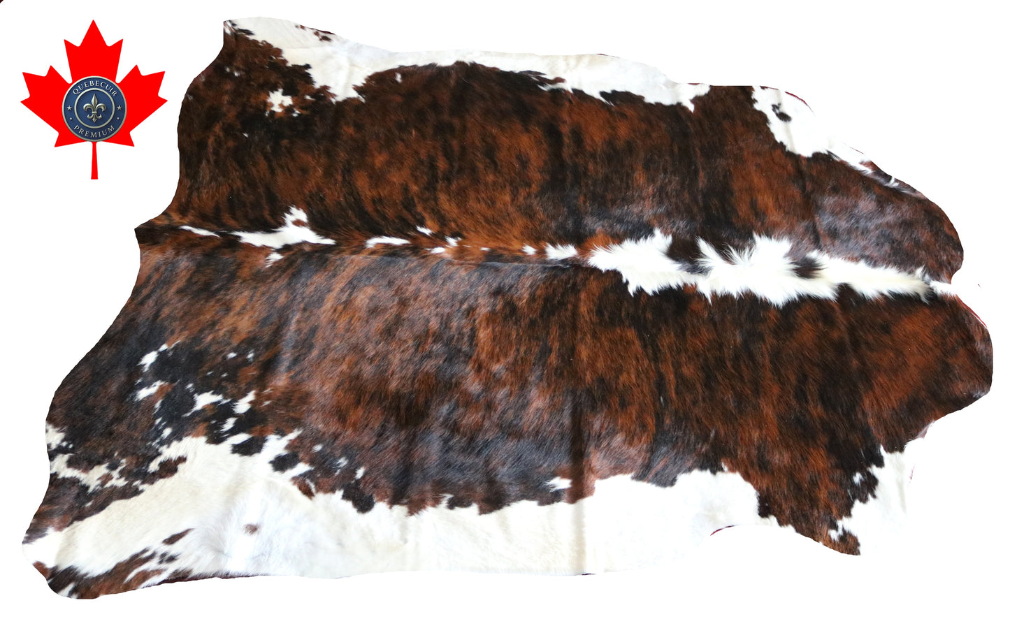 100137  Tricolor Cowhide Rug - Quebecuir Premium Collection
