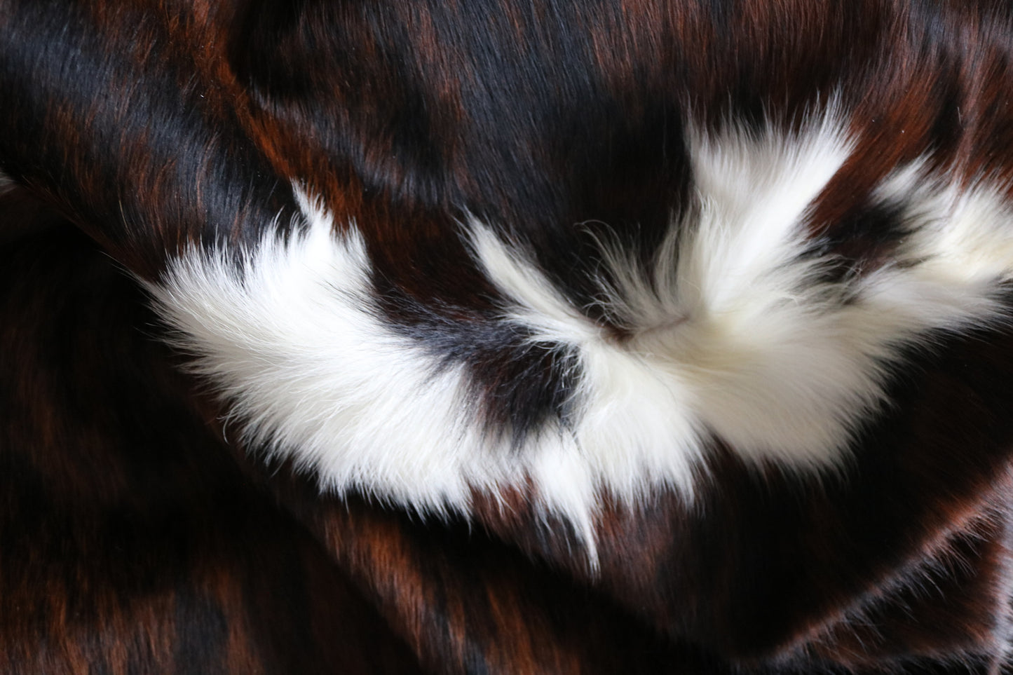 100137  Tricolor Cowhide Rug - Quebecuir Premium Collection