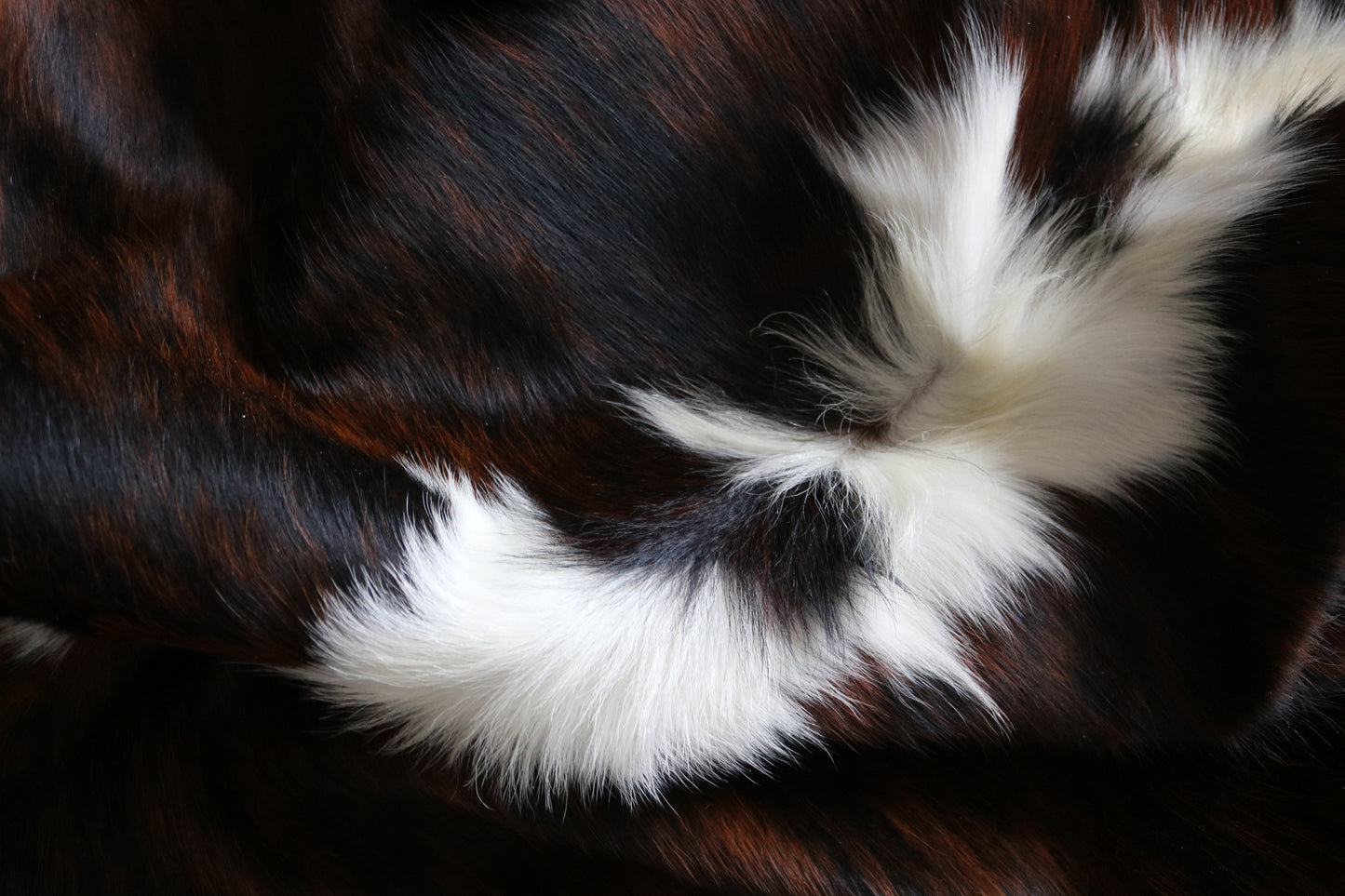 100137  Tricolor Cowhide Rug - Quebecuir Premium Collection