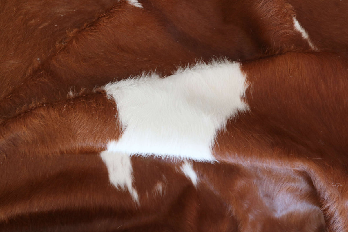 100382 - SUPER BIG  SIZE XXXL BROWN & WHITE     Cowhide Rug - Quebecuir Premium Collection
