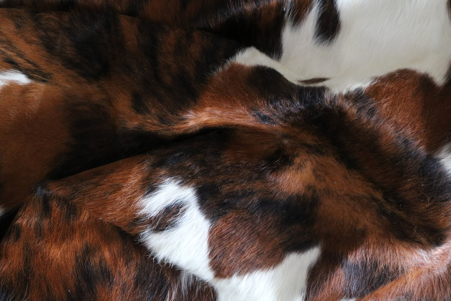 100140- SUPER BIG  SIZE XXXL Tricolor Cowhide Rug - Quebecuir Premium Collection