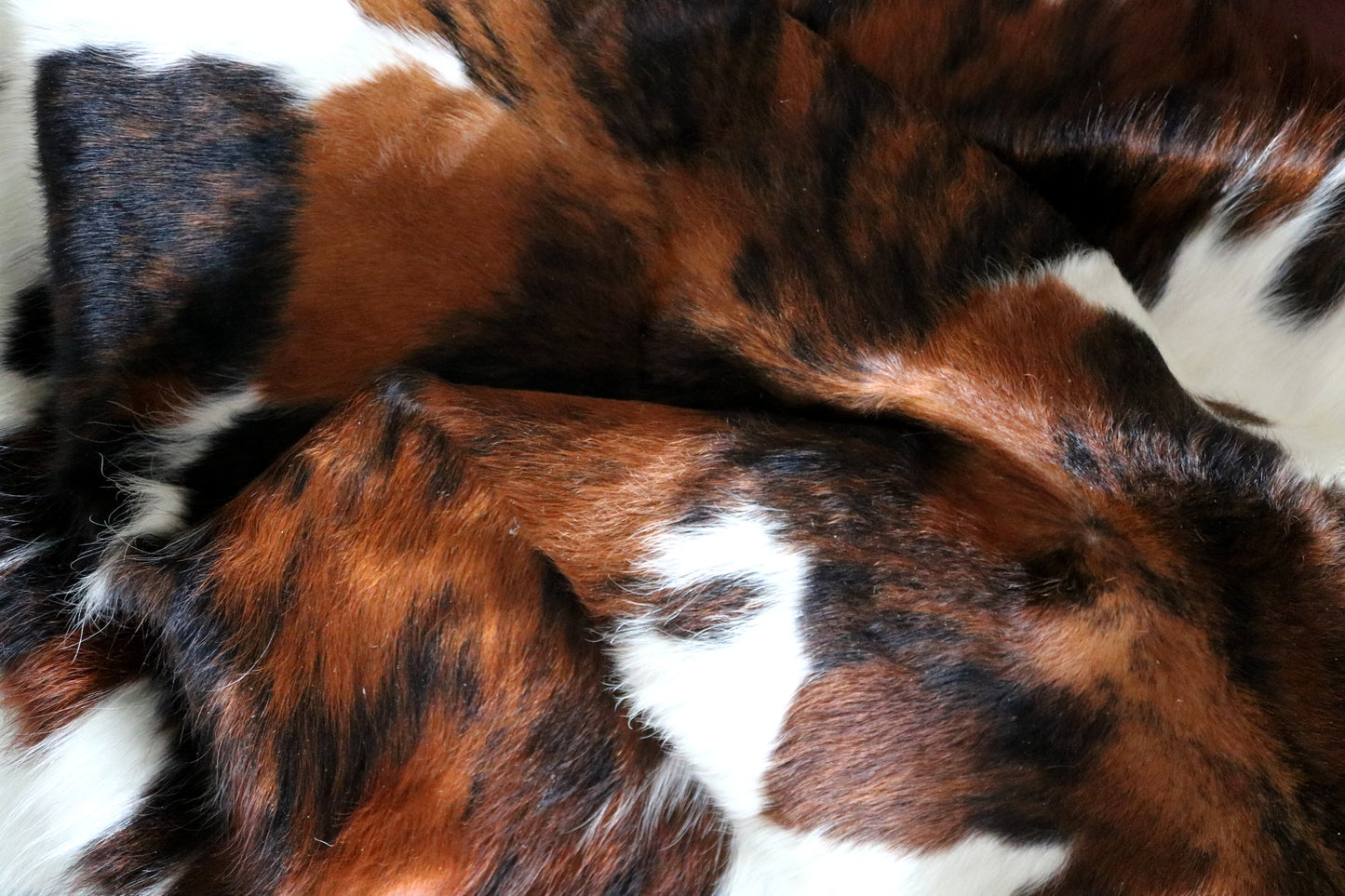 100140- SUPER BIG  SIZE XXXL Tricolor Cowhide Rug - Quebecuir Premium Collection