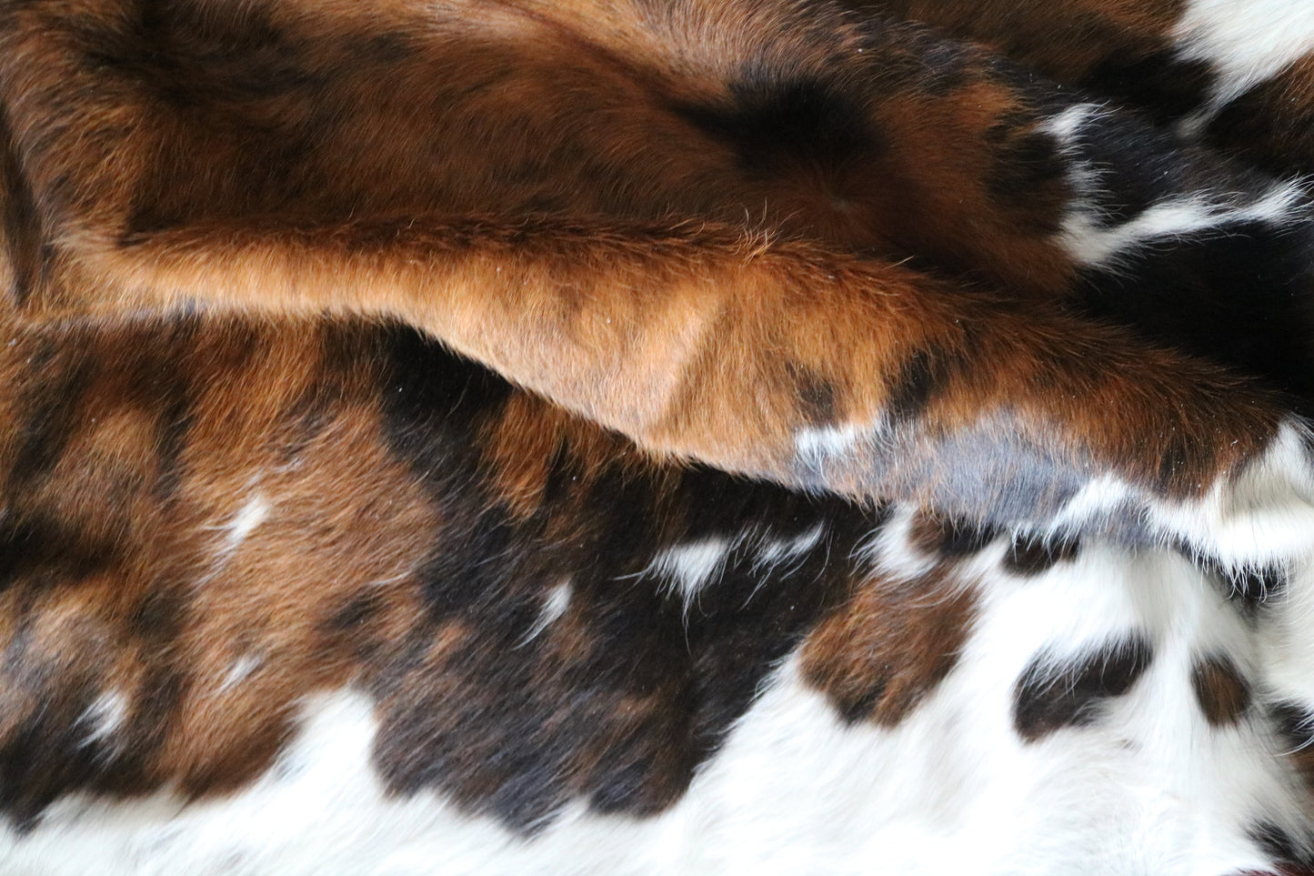 100141- SUPER BIG  SIZE XXXL Tricolor Cowhide Rug - Quebecuir Premium Collection
