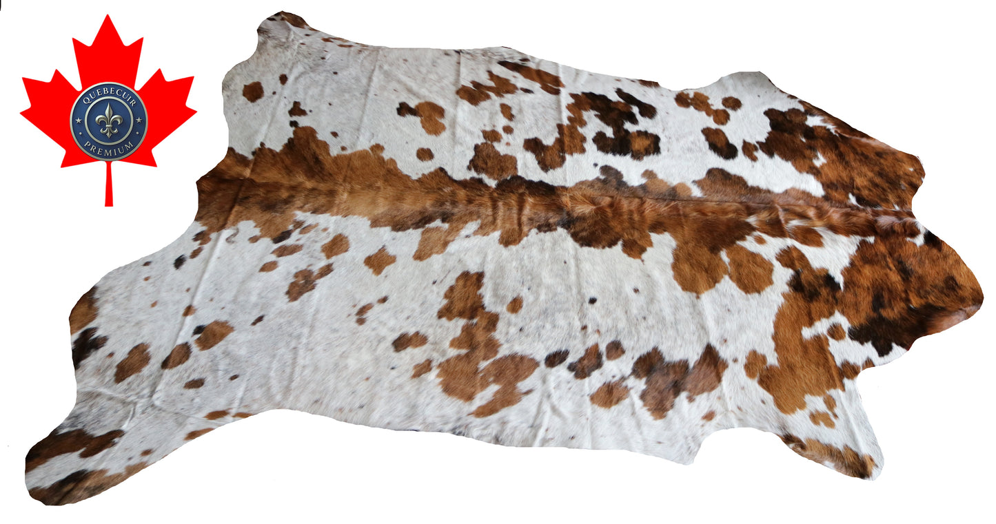 100142- SUPER BIG  SIZE XXXL Tricolor Cowhide Rug - Quebecuir Premium Collection